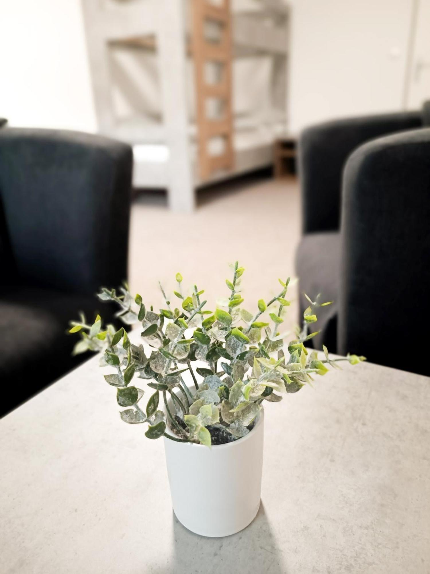 Apartmany Plzen Zborovska 22 A 外观 照片